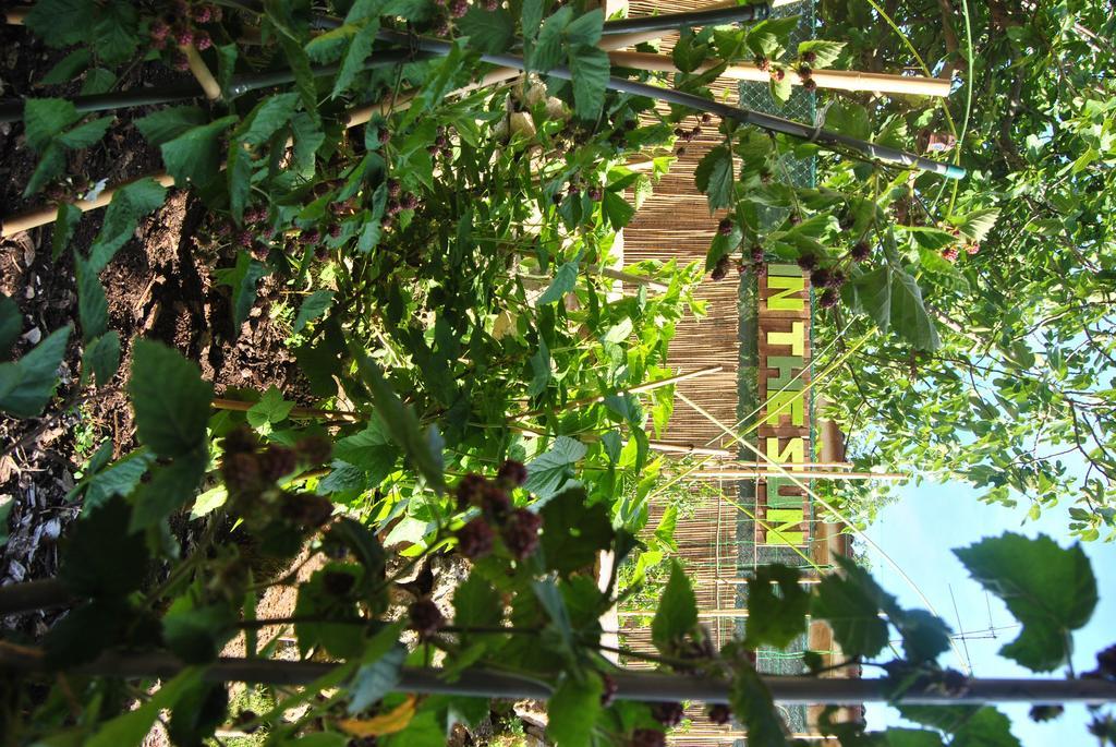 B&B In The Sun